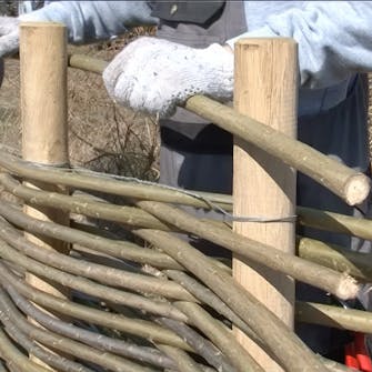 pileflet til haven pileflet til haven